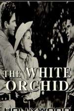 Watch The White Orchid Movie4k