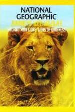 Watch National Geographic:  Walking with Lions Movie4k
