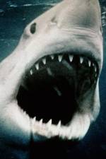 Watch Sharkmania: The Top 15 Biggest Baddest Bloodiest Bites Movie4k
