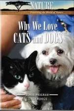 Watch Why We Love Cats And Dogs Movie4k