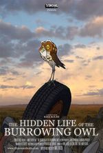 Watch The Hidden Life of the Burrowing Owl (Short 2008) Movie4k