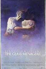 Watch The Glass Menagerie Movie4k