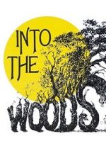 Watch Into the Woods Movie4k