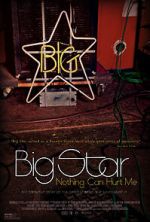 Watch Big Star: Nothing Can Hurt Me Movie4k