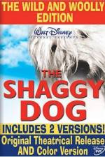 Watch The Shaggy Dog Movie4k