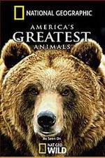 Watch America's Greatest Animals Movie4k