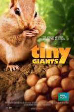 Watch Tiny Giants 3D Movie4k