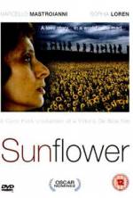 Watch Sunflower Movie4k