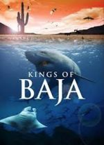 Watch Kings of Baja Movie4k