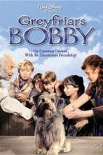 Watch Greyfriars Bobby The True Story of a Dog Movie4k