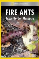 Watch National Geographic Fire Ants: Texas Border Massacre Movie4k