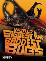 Watch World\'s Biggest and Baddest Bugs Movie4k