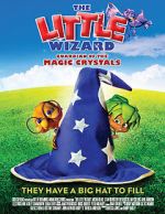 Watch The Little Wizard: Guardian of the Magic Crystals Movie4k