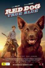 Watch Red Dog True Blue Movie4k