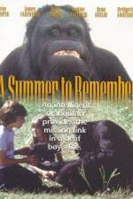 Watch A Summer to Remember Movie4k