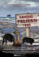 Watch Saving Pelican 895 (Short 2011) Movie4k