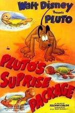 Watch Pluto\'s Surprise Package Movie4k