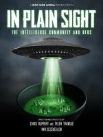 Watch In Plain Sight: The Intelligence Community and UFOs Movie4k
