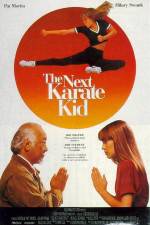 Watch The Next Karate Kid Movie4k