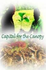 Watch Capital for the Canopy Movie4k