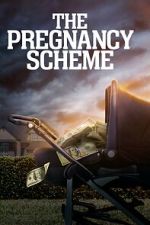 Watch The Pregnancy Scheme Movie4k