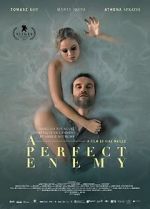 Watch A Perfect Enemy Movie4k