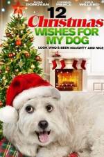 Watch 12 Christmas Wishes For My Dog Movie4k