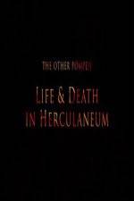 Watch The Other Pompeii Life & Death in Herculaneum Movie4k