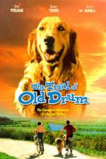 Watch The Trial of Old Drum Movie4k