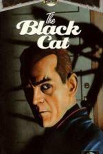 Watch The Black Cat Movie4k