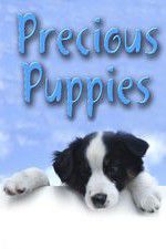Watch Precious Puppies Movie4k