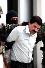 Watch The Rise and Fall of El Chapo Movie4k