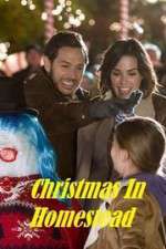 Watch Christmas in Homestead Movie4k