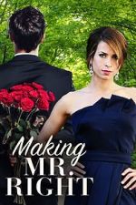 Watch Making Mr. Right Movie4k