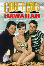 Watch Gidget Goes Hawaiian Movie4k