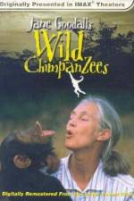 Watch Jane Goodall's Wild Chimpanzees Movie4k