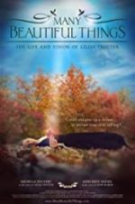 Watch Many Beautiful Things Movie4k