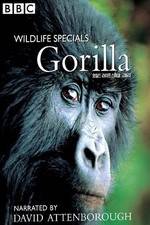 Watch Gorilla Revisited with David Attenborough Movie4k