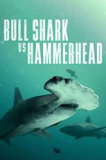 Watch Bull Shark vs Hammerhead Movie4k