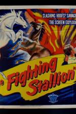 Watch The Fighting Stallion Movie4k