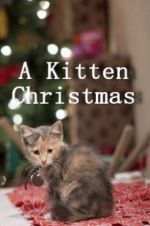 Watch A Kitten Christmas Movie4k