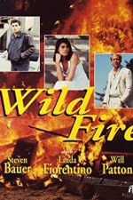 Watch Wildfire Movie4k