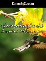 Watch Hummingbirds Jewelled Messengers Movie4k