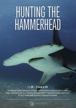 Watch Hunting the Hammerhead Movie4k