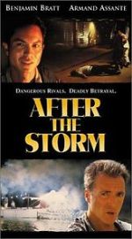 Watch After the Storm Movie4k