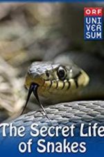 Watch The Secret Life of Snakes Movie4k