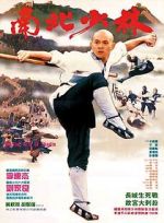 Watch Martial Arts of Shaolin Movie4k