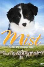 Watch Mist: The Tale of a Sheepdog Puppy Movie4k