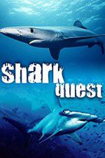 Watch Shark Quest Movie4k