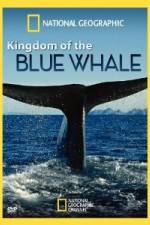 Watch National Geographic Kingdom of Blue Whale Movie4k